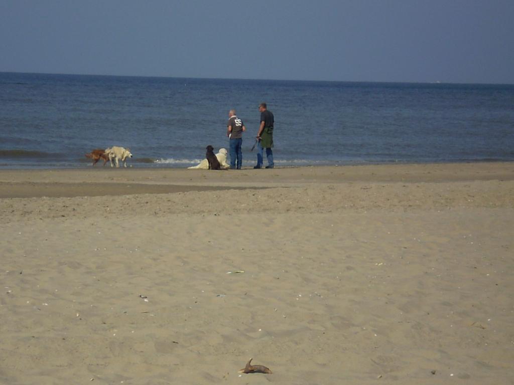 Noordwijk Holiday Rentals المظهر الخارجي الصورة